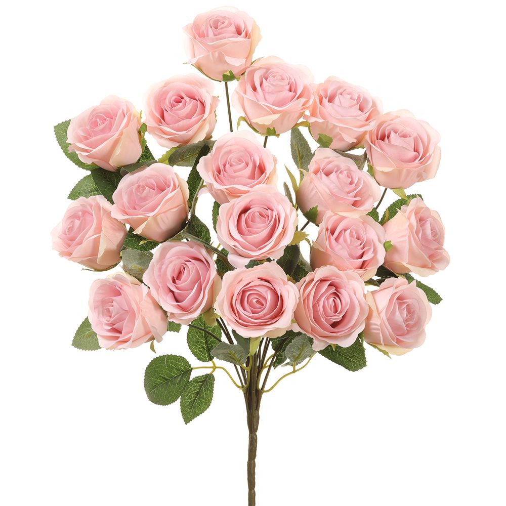 18.5"ROSE BUSH X18 PK