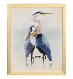 Naturalist Archive VIII
