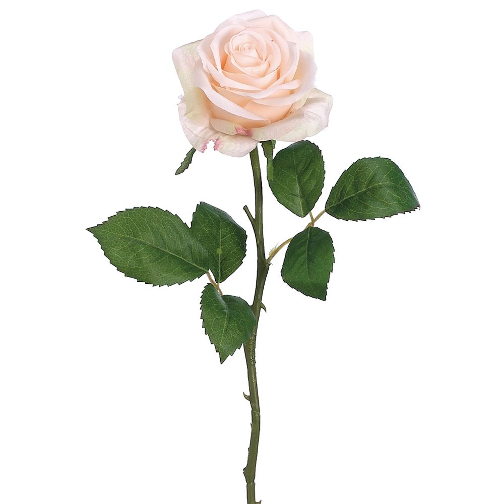 17.5"OPEN ROSE BUD SPRAY AP/PS