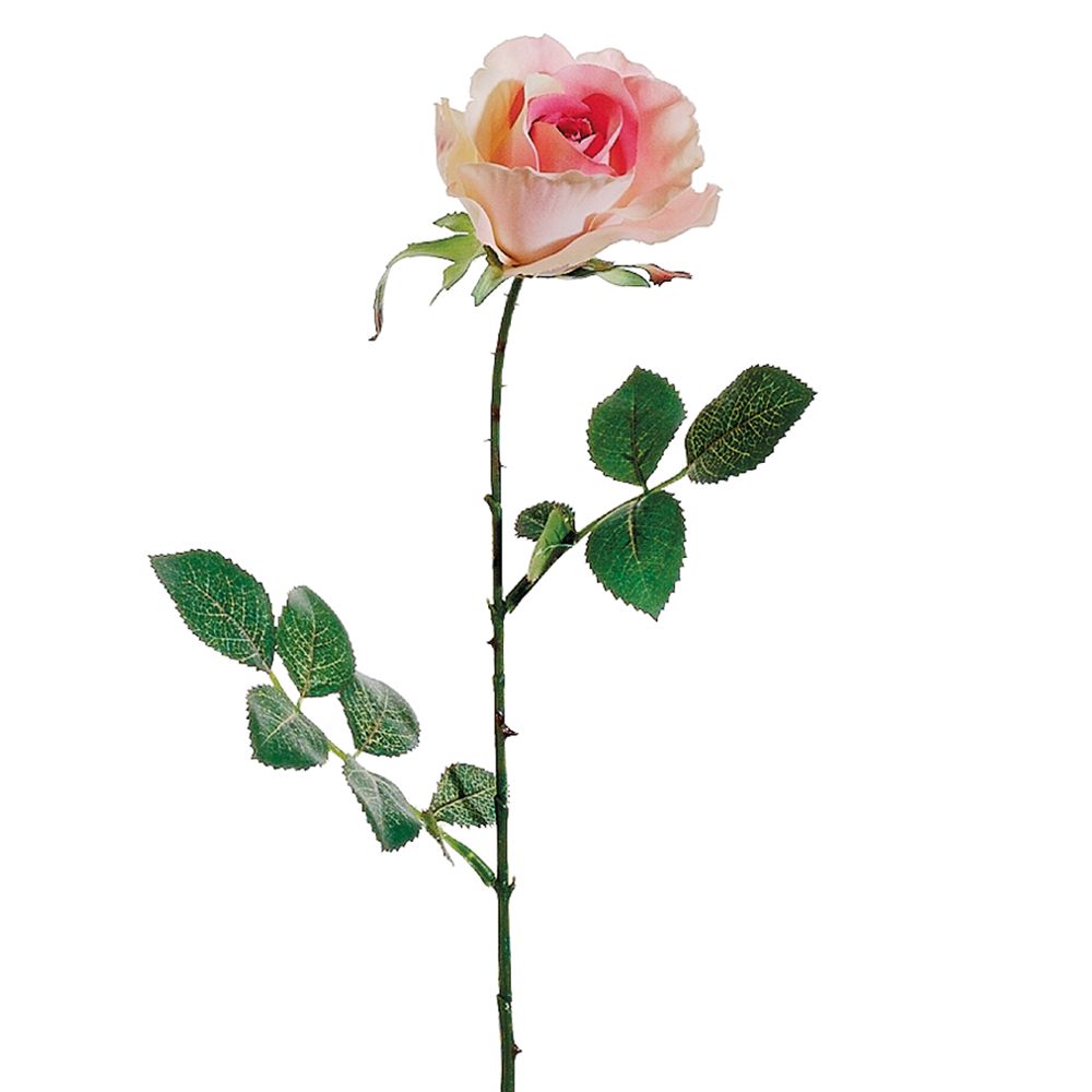 27"TALL ROSE BUD SP.PK