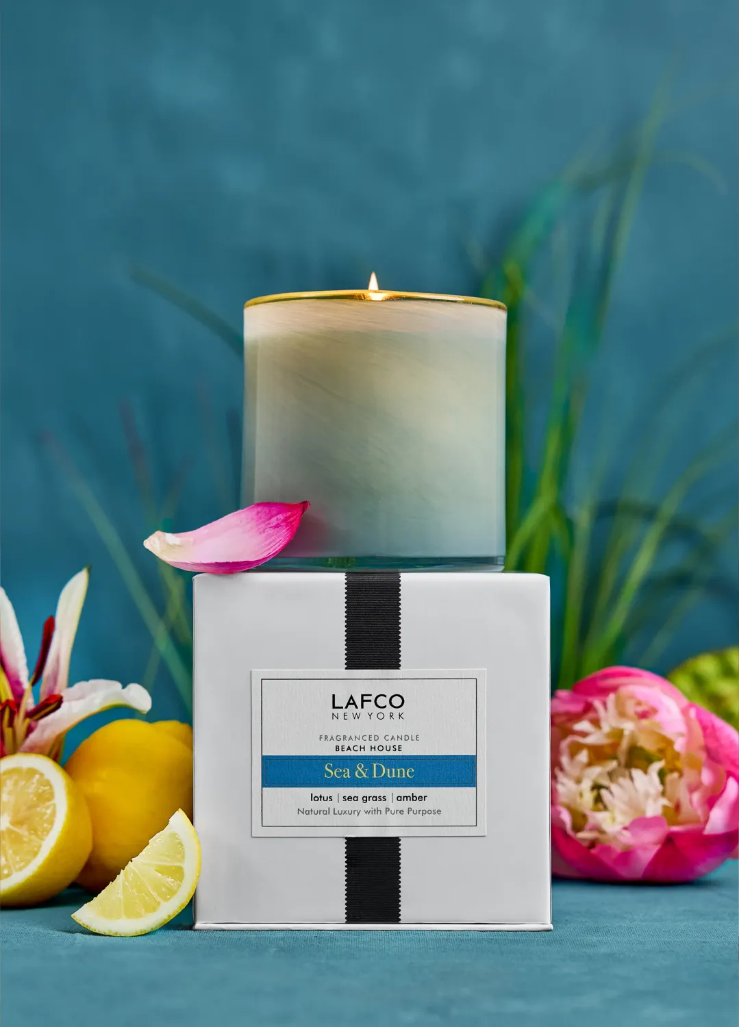 15.5oz Sea &amp; Dune Signature Candle - Beach House