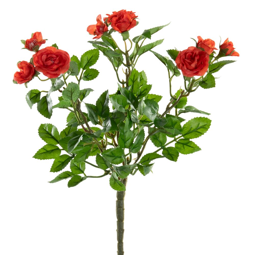 10"MINI ROSE BUSH X3 SA