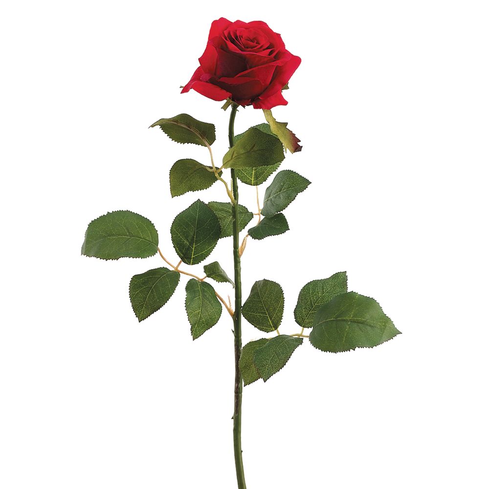 27.5"CONF.LG ROSE SPRAY RE/TT