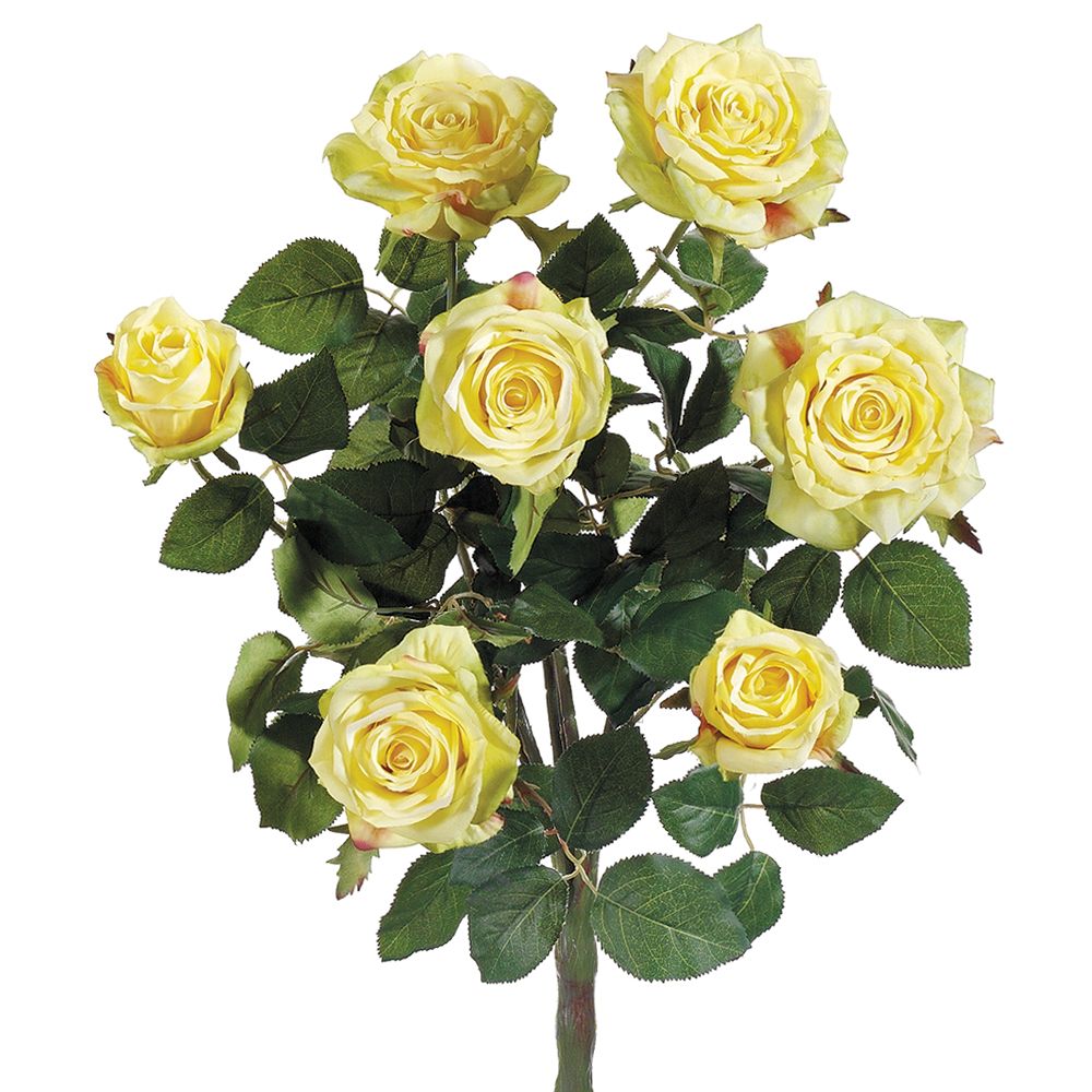 21.5"CONF.ROSE BUSH X7 YE