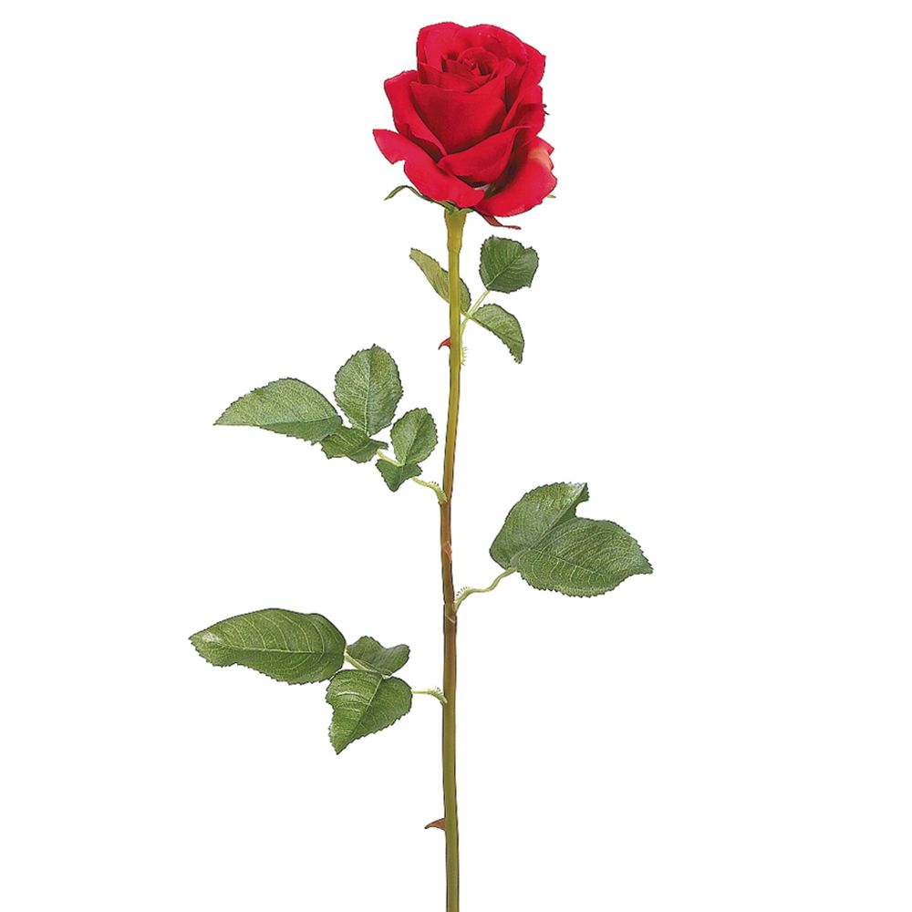 28"FRENCH ROSE SPRAY RE
