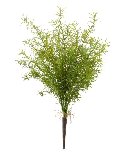 ASPARAGUS SPRING FERN BUSH 20"