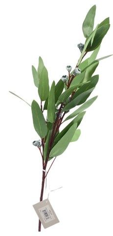 LONG EUCALYPTUS W/POD STEM 30" GREEN
