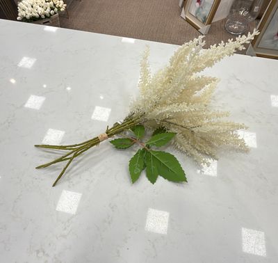 PL. ASTILBE BUNDLE 16" CREAM