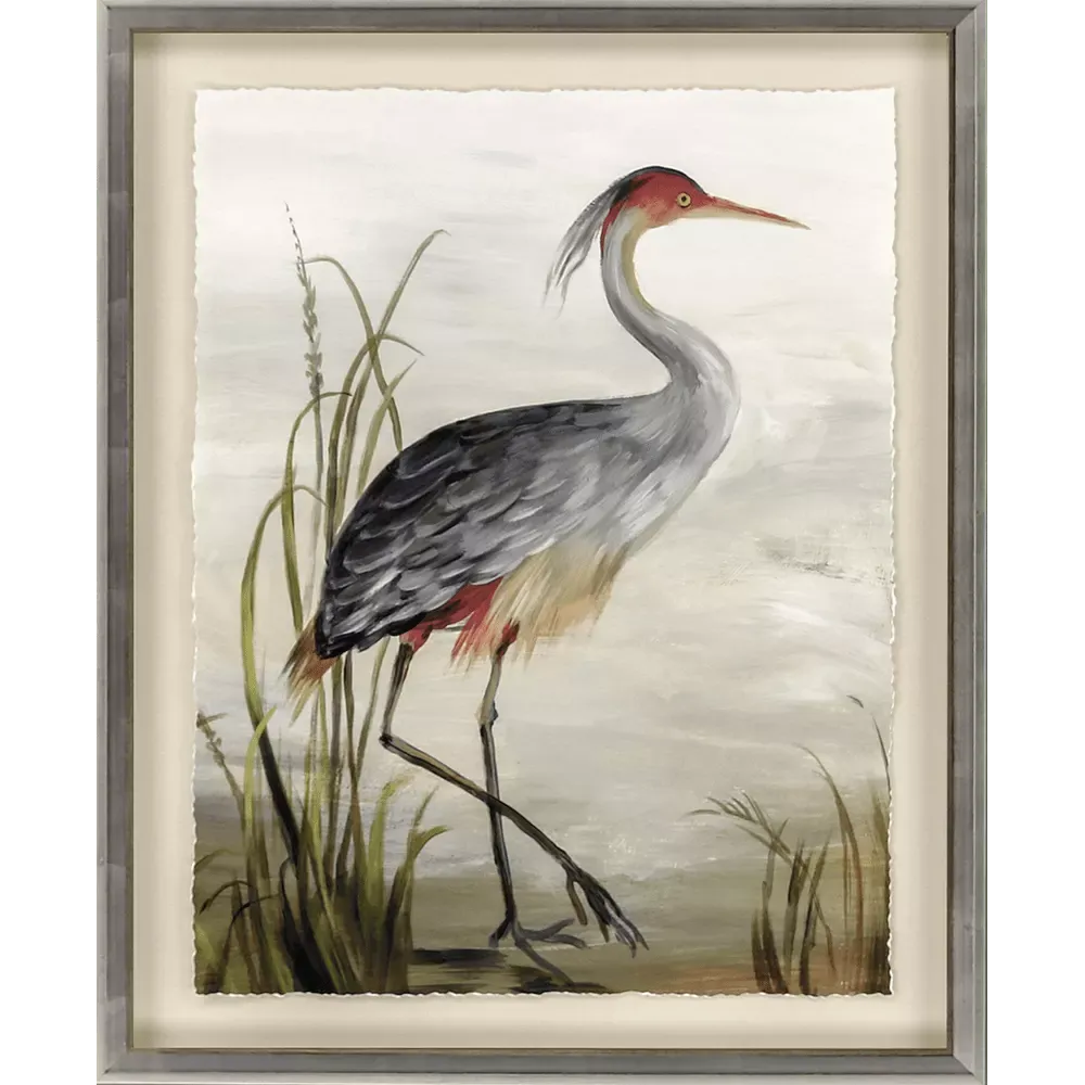 Grey Heron Study