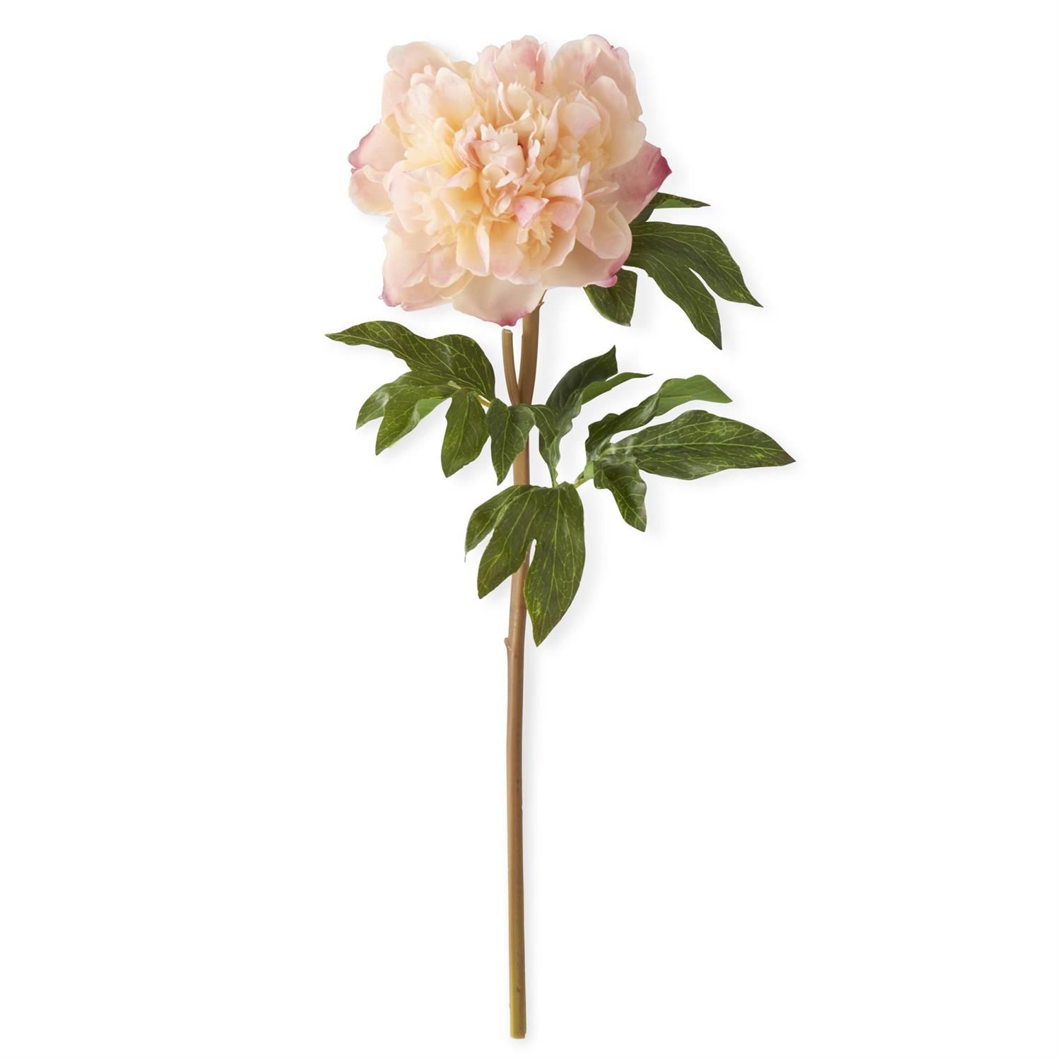 21.5" CORAL CHARM REAL TOUCH PEONY SPRAY
