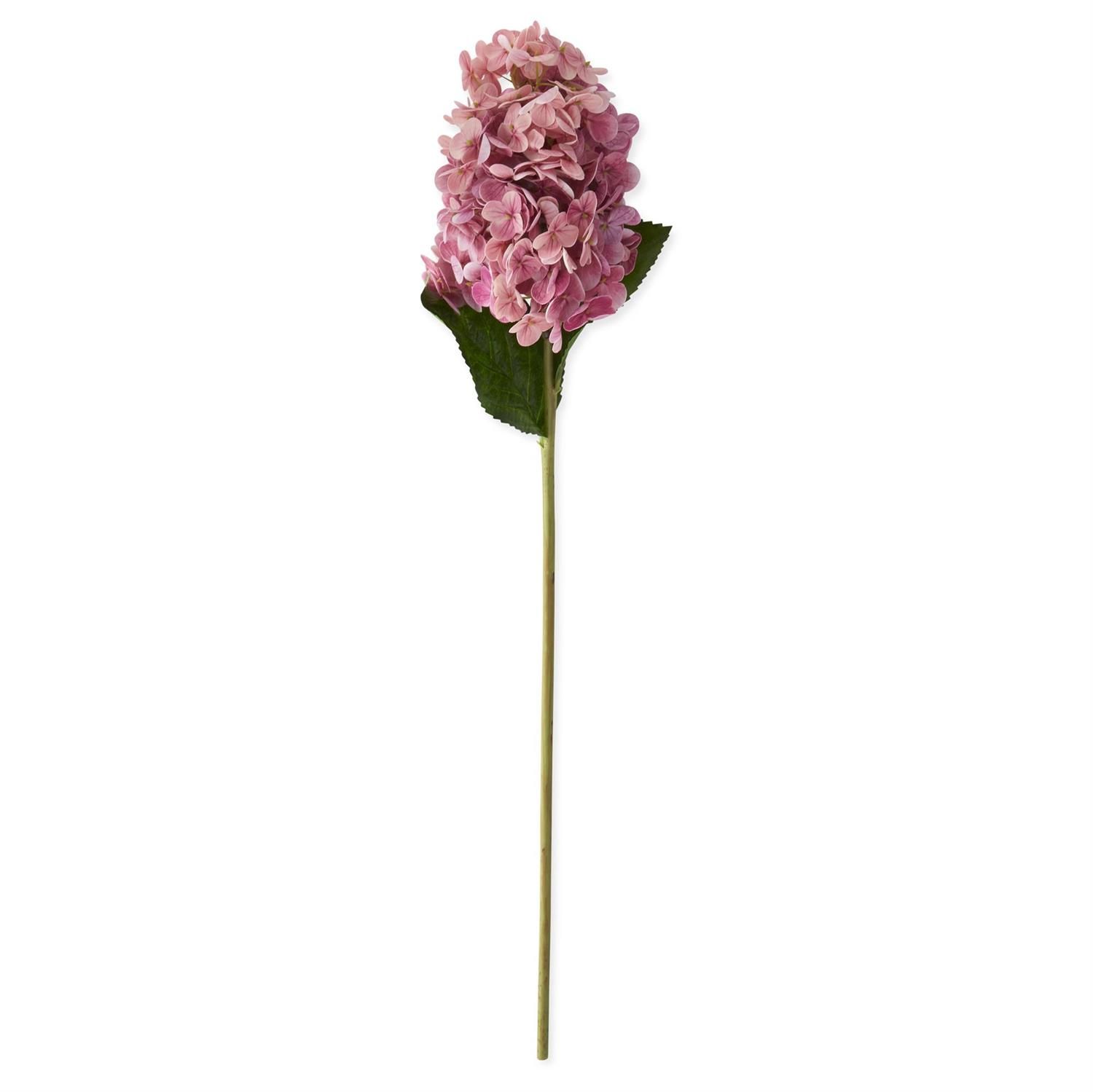 28" DARK PINK CONE HYDRANGEA STEM