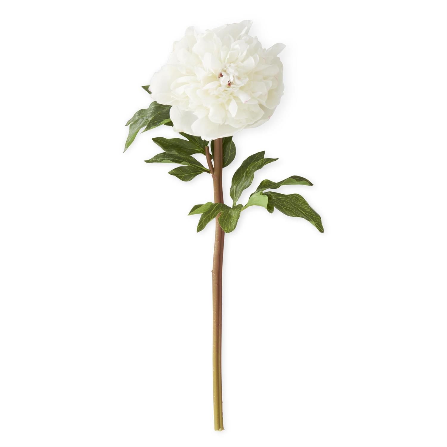 21.5" WHITE CHARM REAL TOUCH PEONY STEM