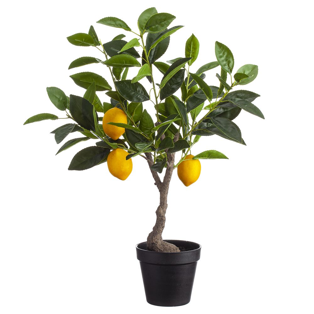 23.5"LEMON TREE IN POT YE/GR