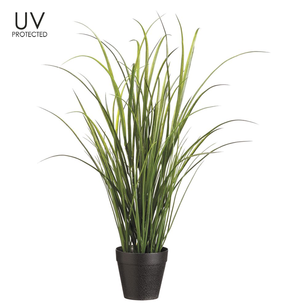 24"UV PROTECT TALL GRASS(P)