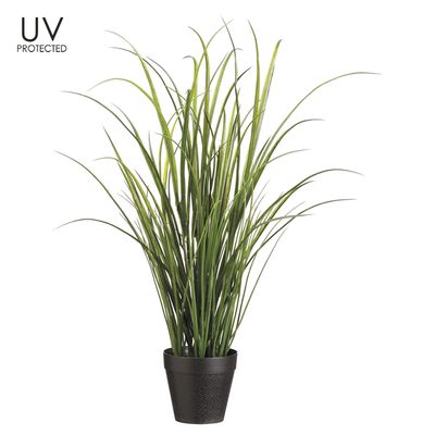 24"UV PROTECT TALL GRASS(P)