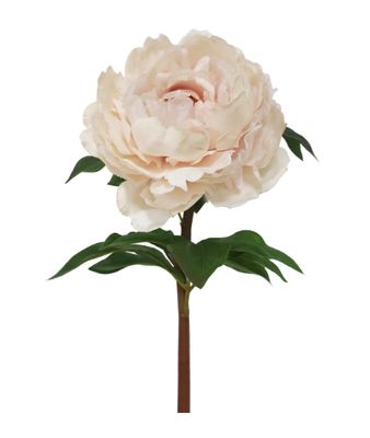 PEONY 20.5'' DUSTY PEACH