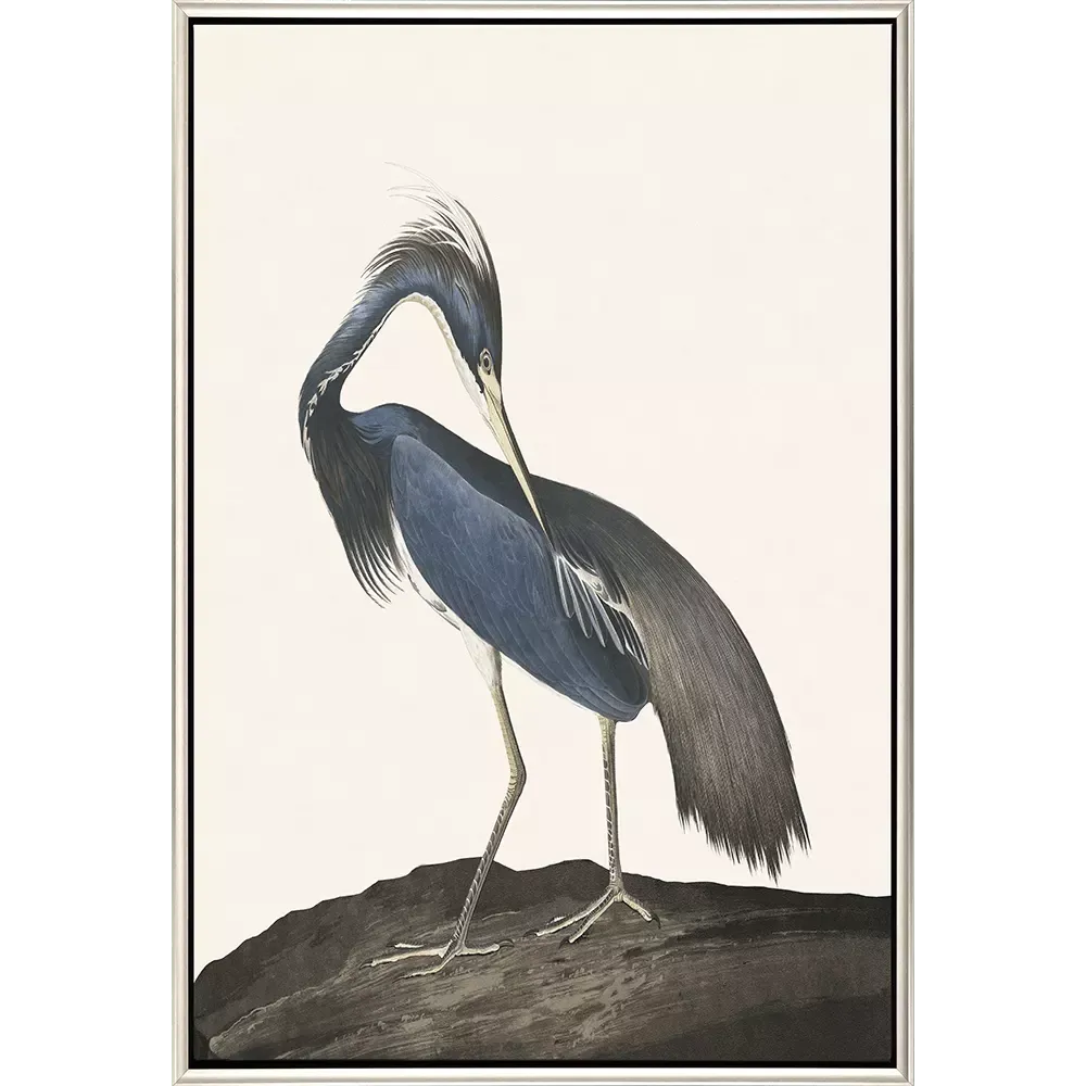 Great Heron II