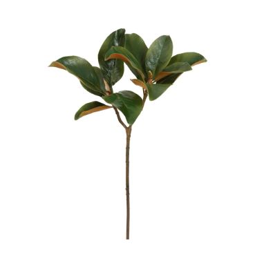 MAGNOLIA LEAF S. 25'' GREEN