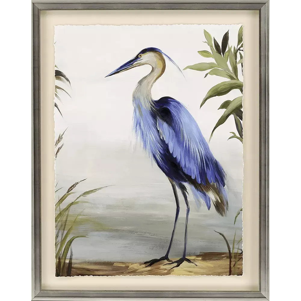 Blue Heron Study