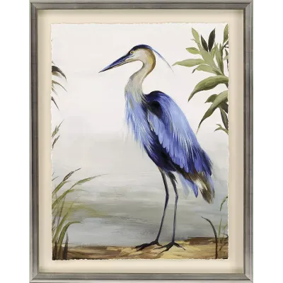 Blue Heron Study