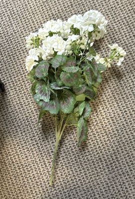 SUMMER GERANIUM PLANT X 9 2.4"