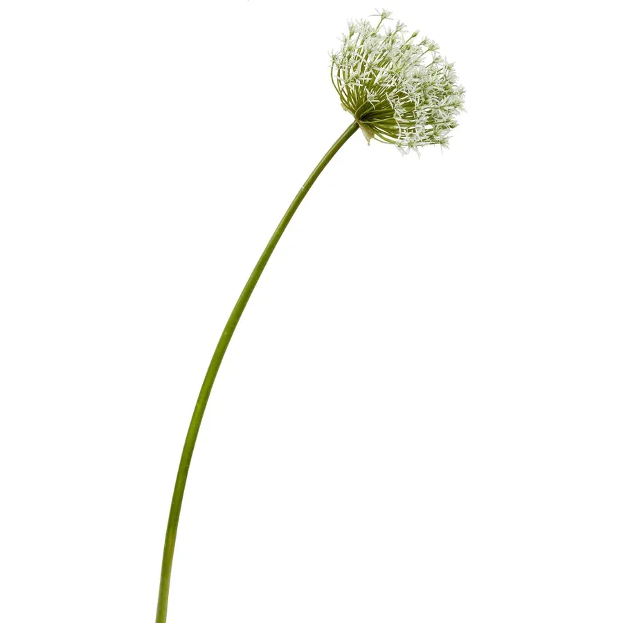 ALLIUM S.36'' TWO-TONE WHITE