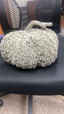 5.5"HX7.5"D PUMPKIN GR