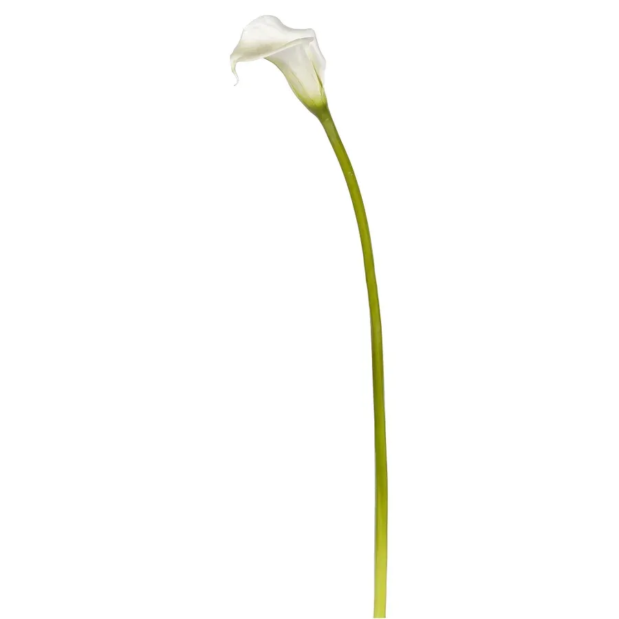 CALLA LILY 29.5'' WHITE