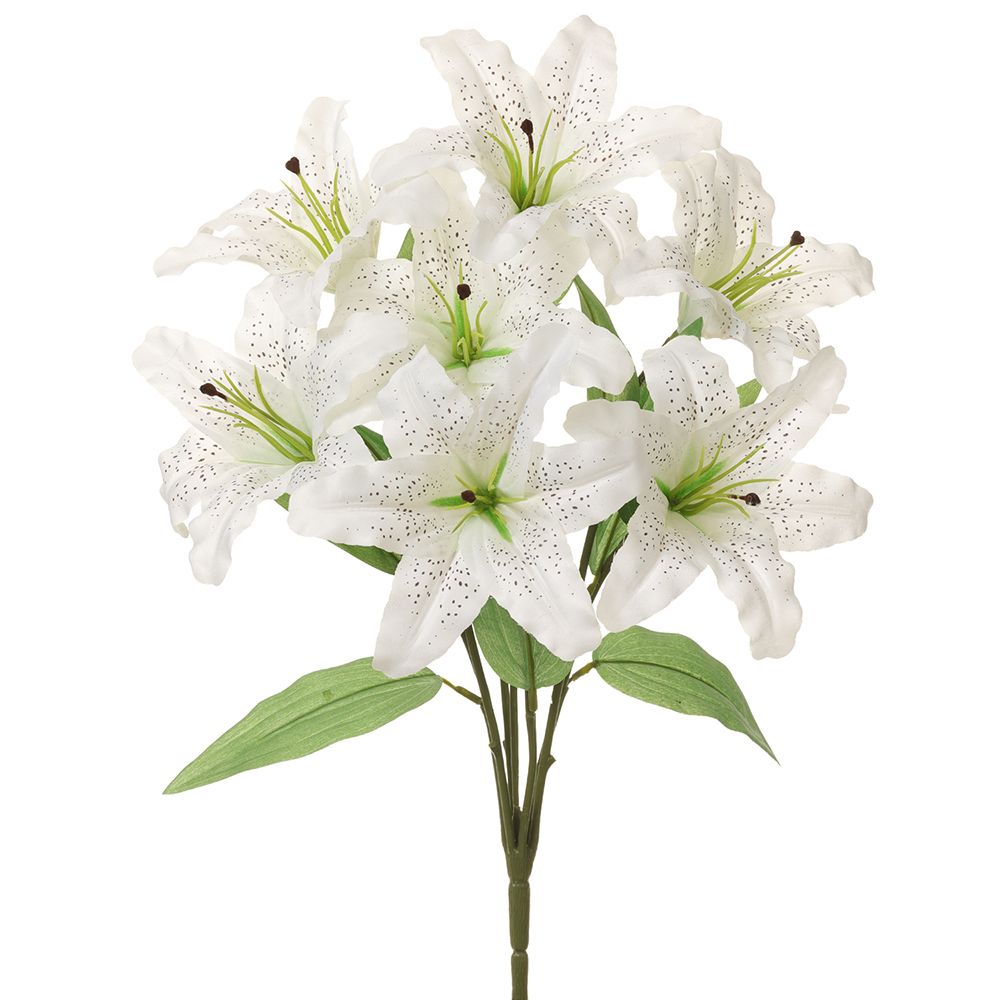 20"RUBRUM LILY BUSH X7 WH