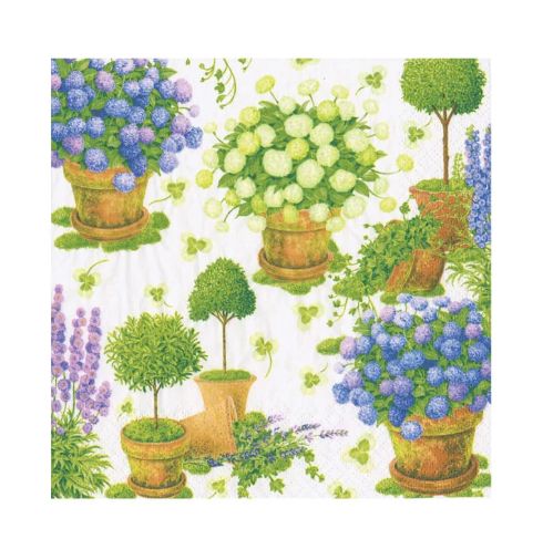POTTED HYDRANGEAS COCKTAIL NAPKINS