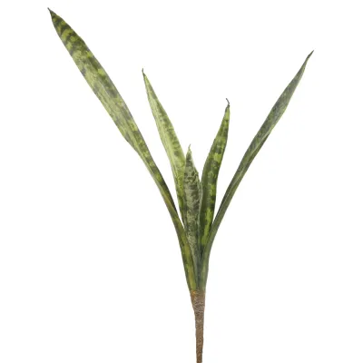 SANSAVERIA PLANT 23'' GREEN