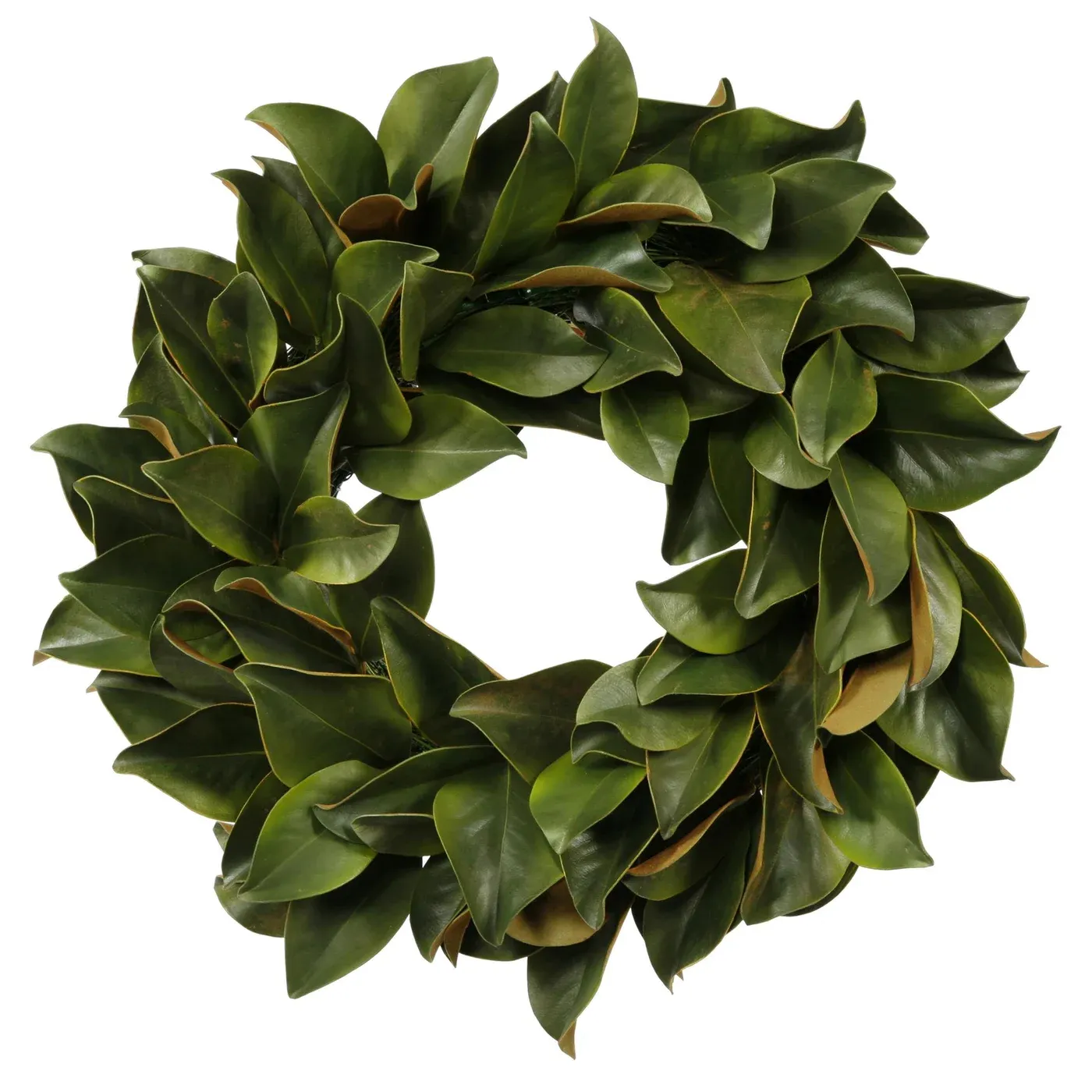 WINWARD MAGNOLIA LEAF ONLY 24" WREATH