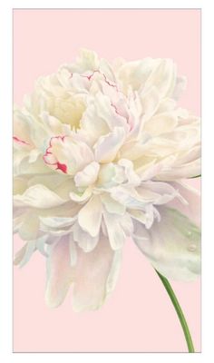 DUCHESS PEONIES BLUSH HOSTESS NAPKINS