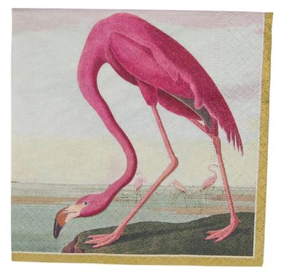 AUDUBON BIRDS COCKTAIL NAPKINS