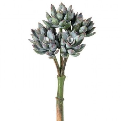 PL. UV STAR SUCCULENT X 5 PICK 9"