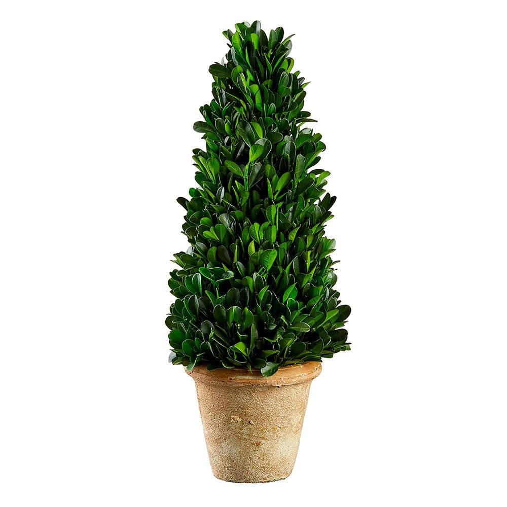 13.3" Pre Boxwood Cone Top