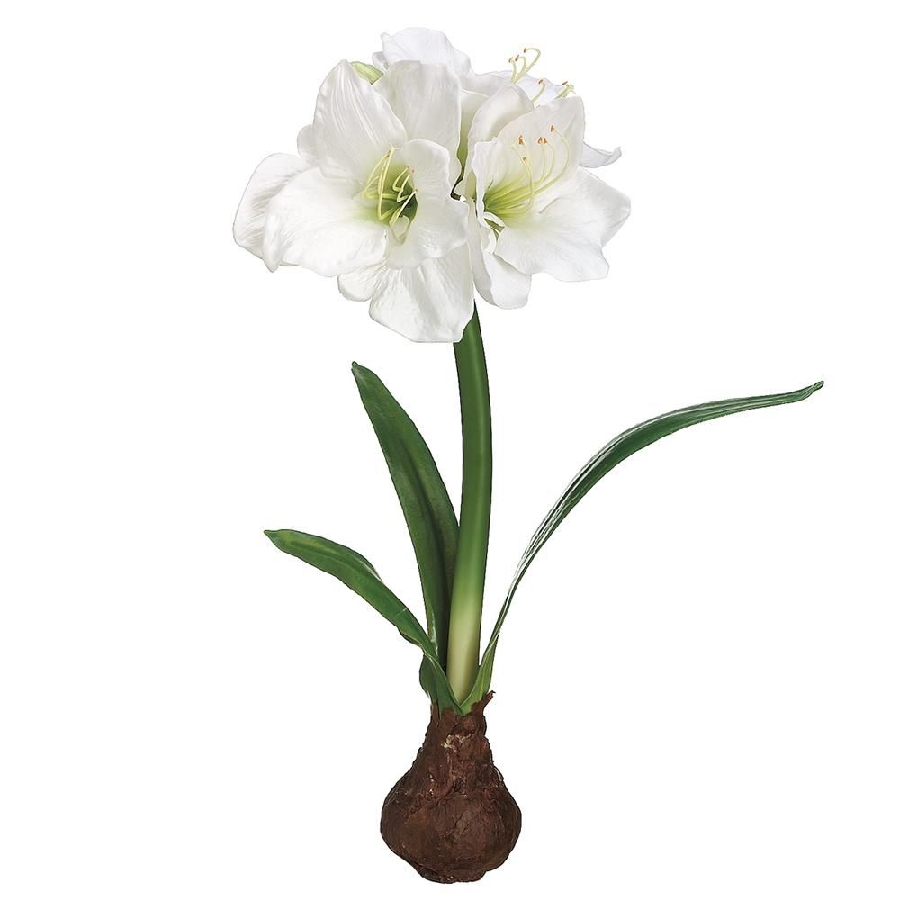 21"STANDING AMARYLLIS W/BULB