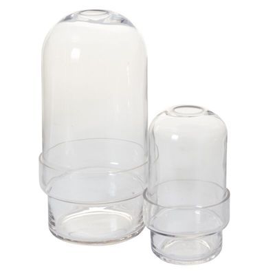 Griffith Terrarium 4.25"x 8"