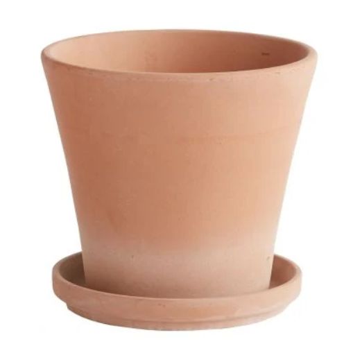 Earthen Pot with Saucer 12"x 11.25"