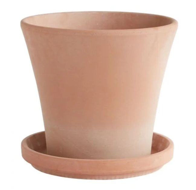 Earthen Pot with Saucer 15"x 14"