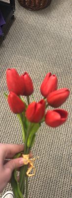 RED TULIP BUNDLE