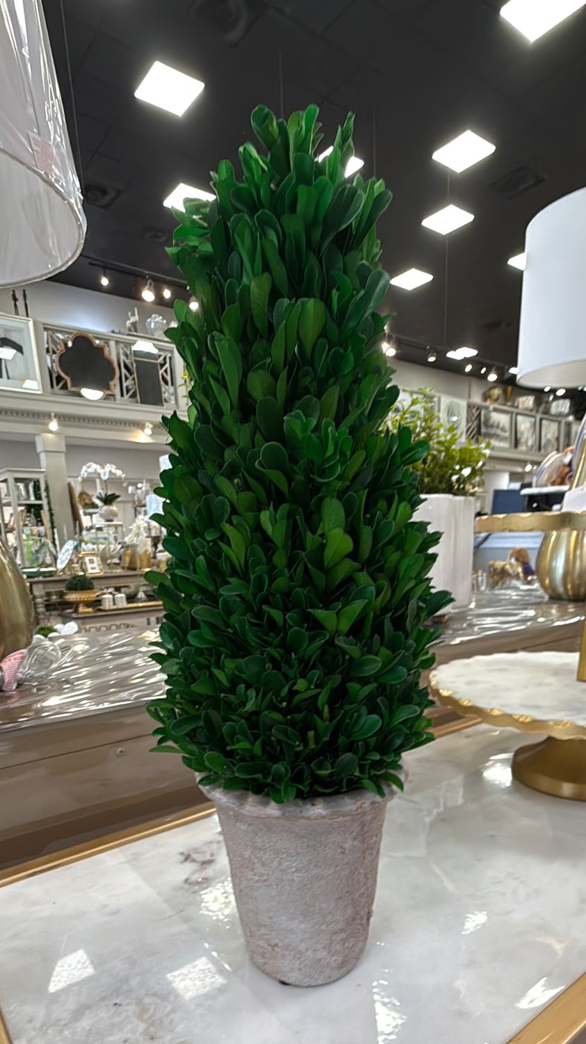 16.5" Pre Boxed Cone Topiary