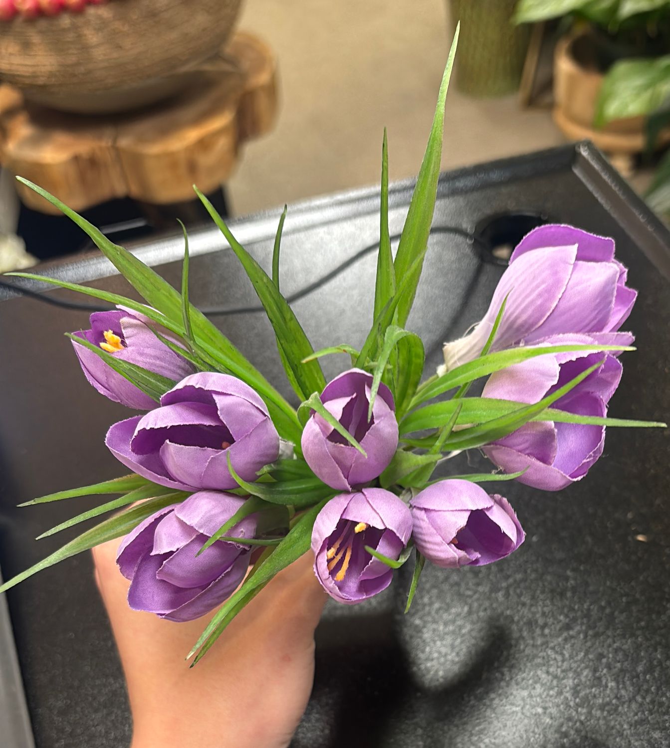 9" CROCUS BUNDLE