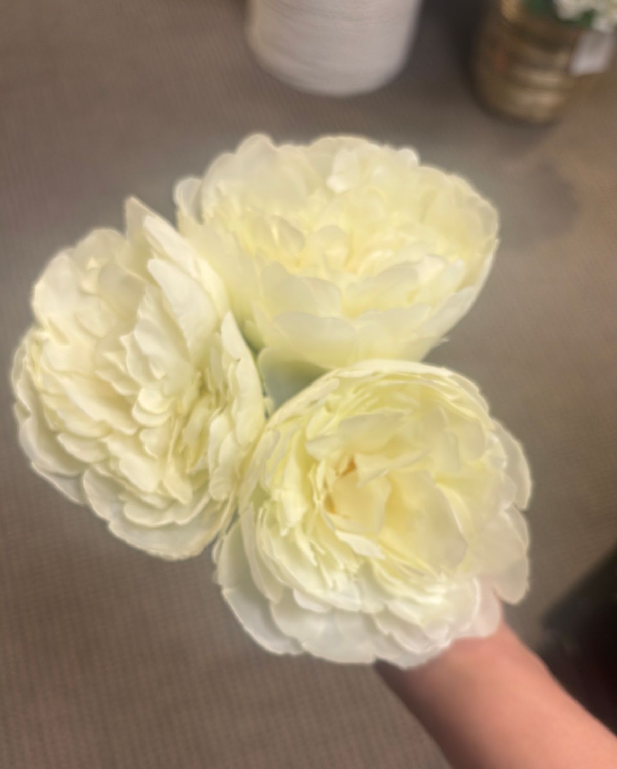 WHITE PEONY BUNDLE