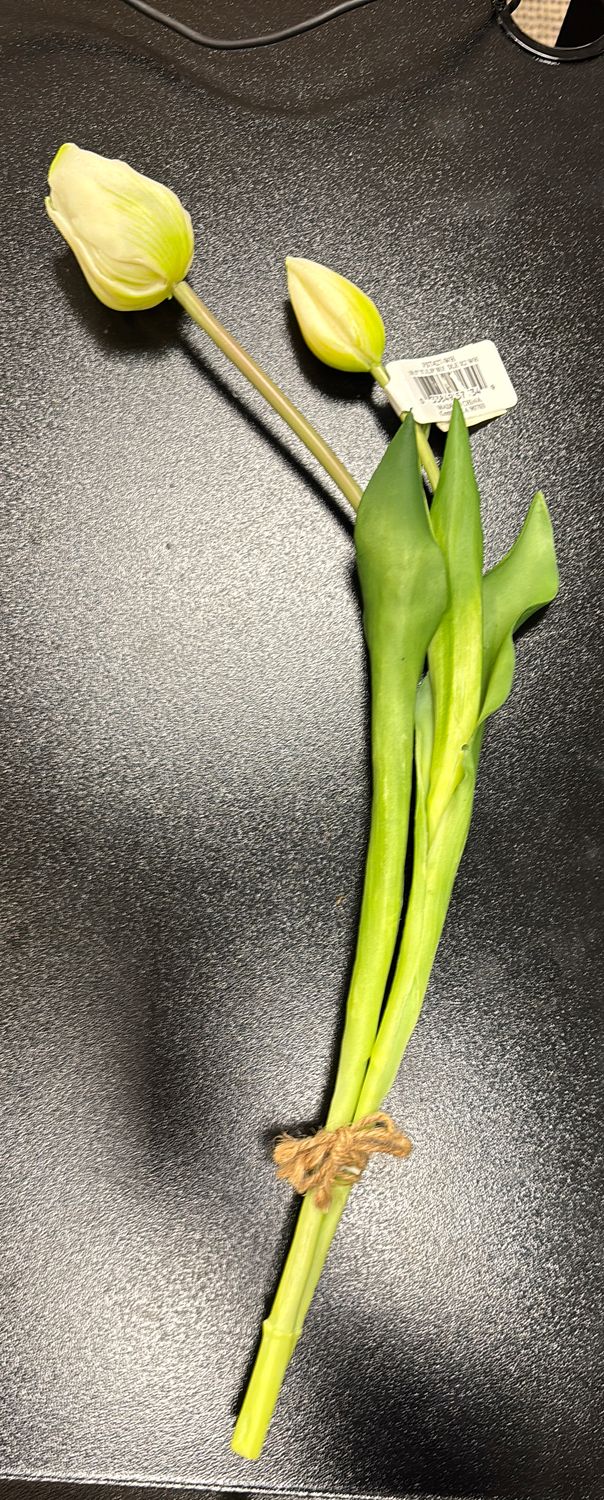TULIP BUNDLE