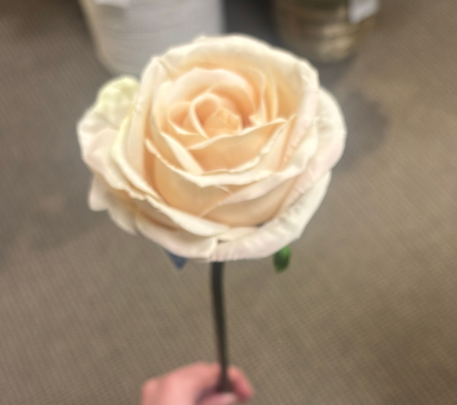 ROSE SPRAY