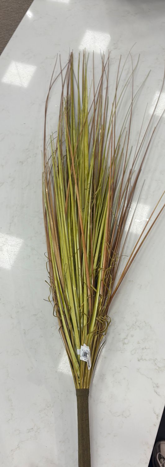 40" ONION GRASS BUSH