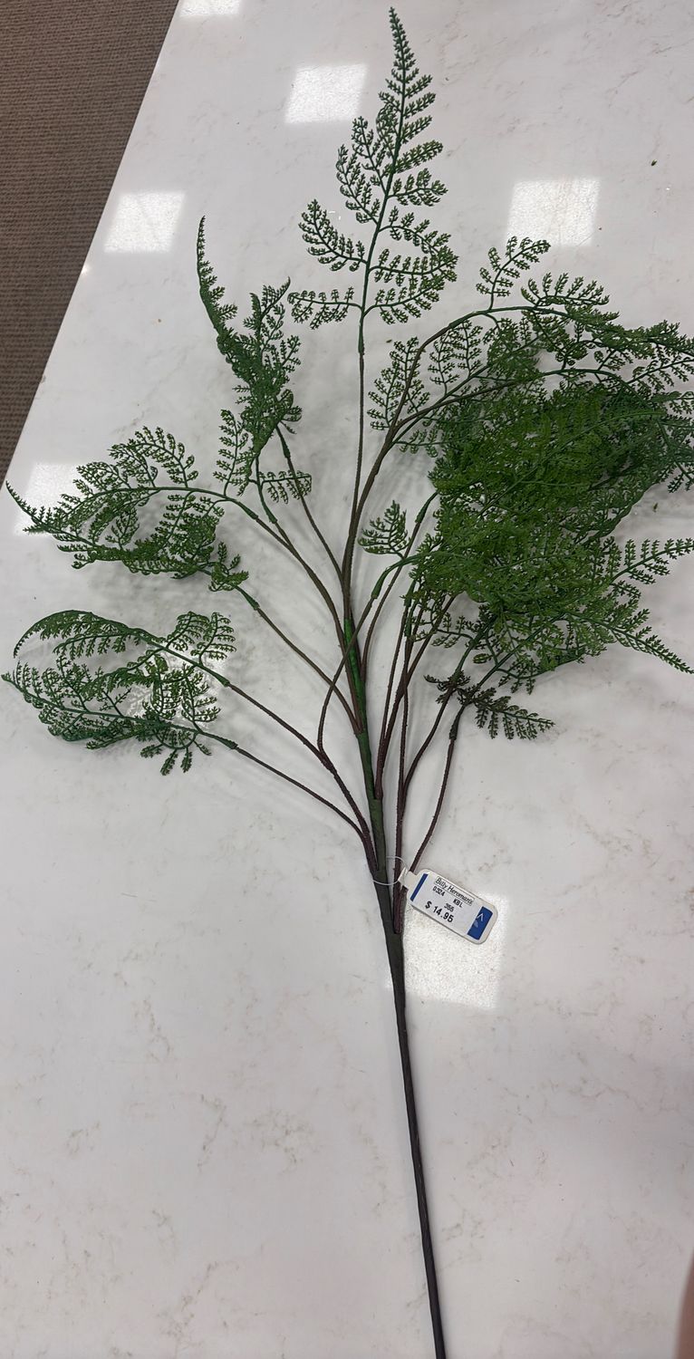 46" FERN SPRAY