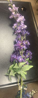DELPHINIUM SPRAY