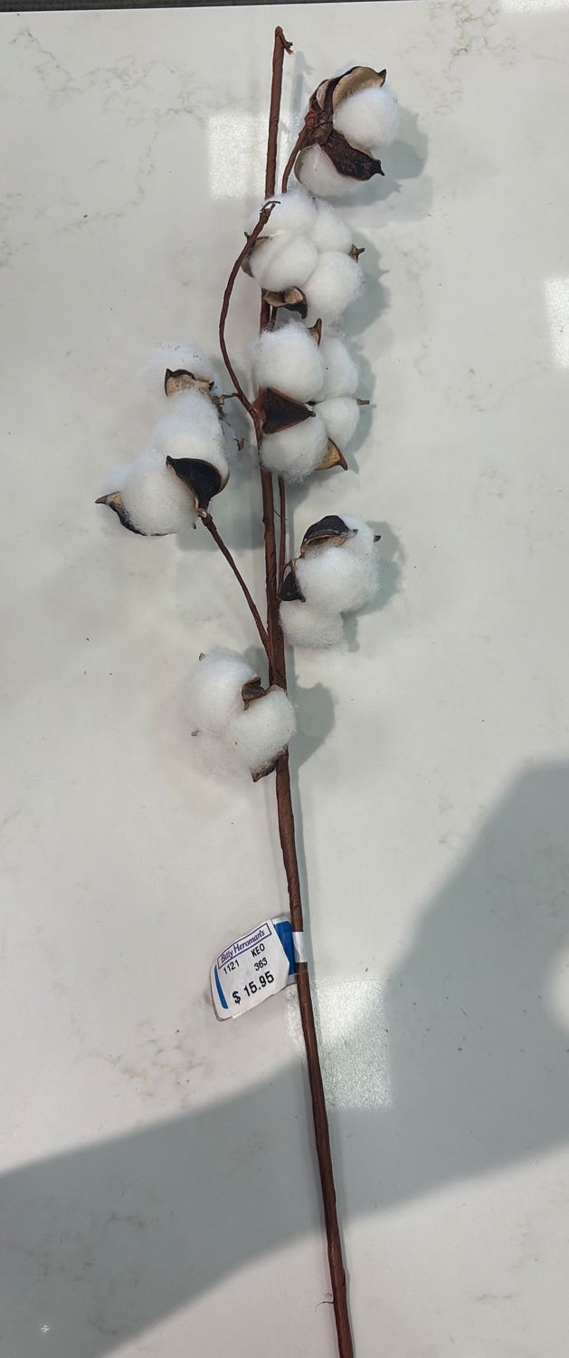 29.5" COTTON POD SPRAY